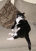 Spooky Posing