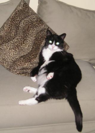 Spooky Posing