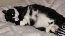 Spooky so cute