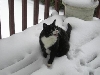 Spooky Snow