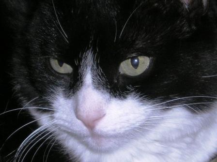 Upclose!