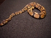 female1b