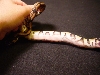 female1a