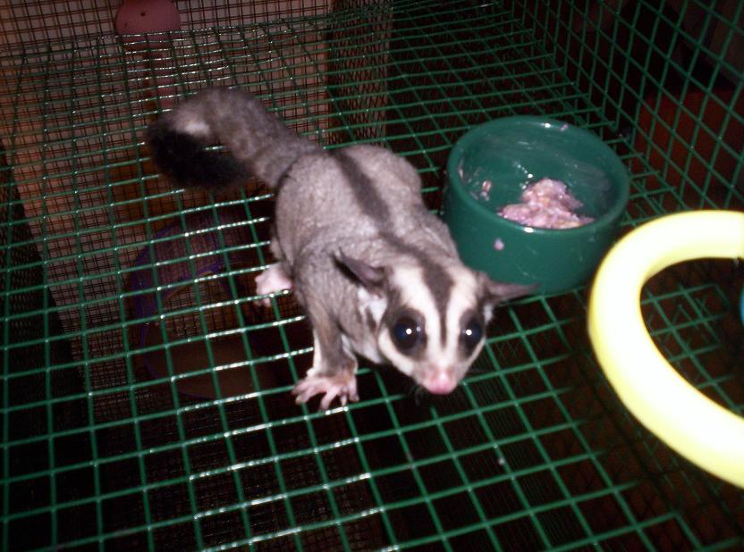 Dinner time