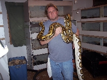 female tiger het 2