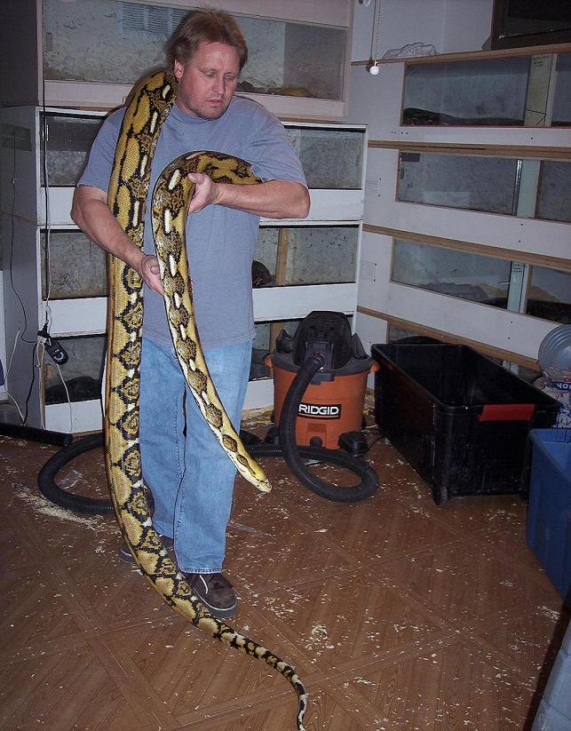 female tiger het 3