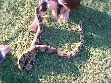 My 18mnth old BCI