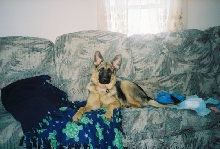 Pretty Girl! 5 months old