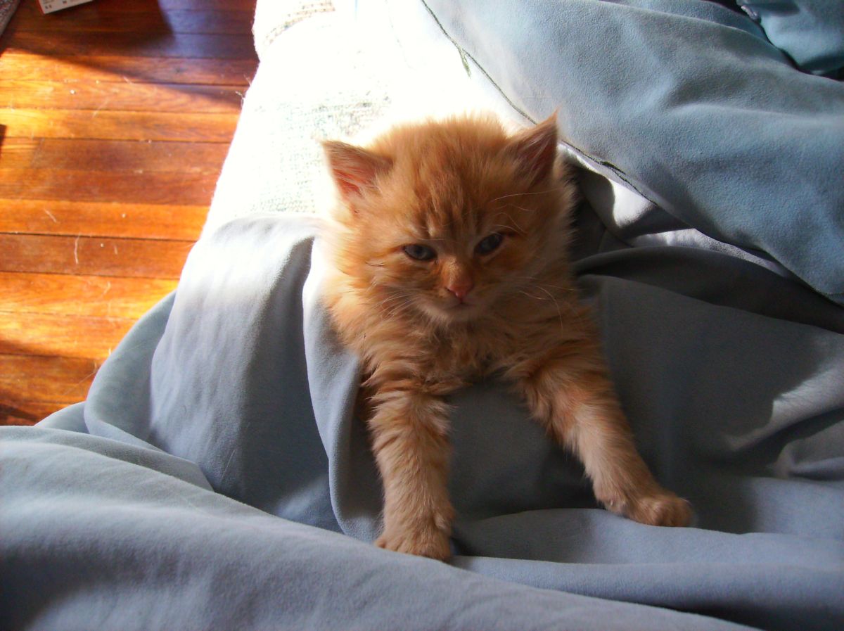 Annie waking up