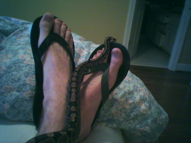Making friends with my sandals