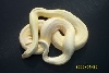 ALBINO GRANITE