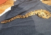 04 ch male 2
