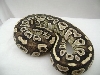 Mojave