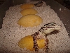 Argus Hatching