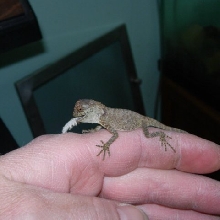 Baby eating 2