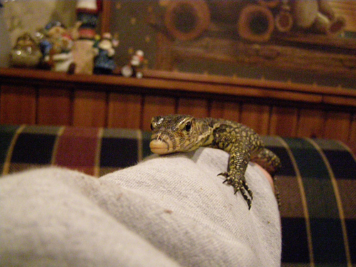 Water Monitor