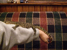 Water Monitor