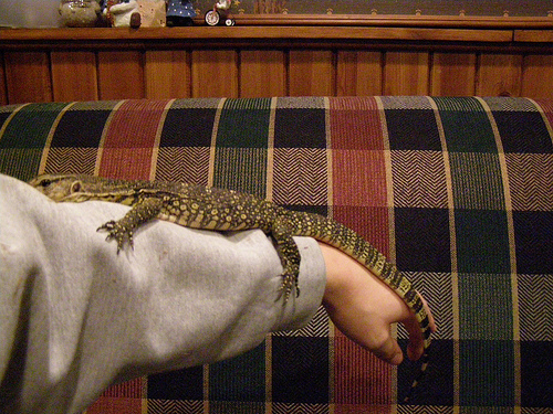 Water Monitor