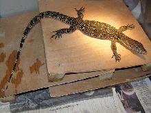 Water Monitor