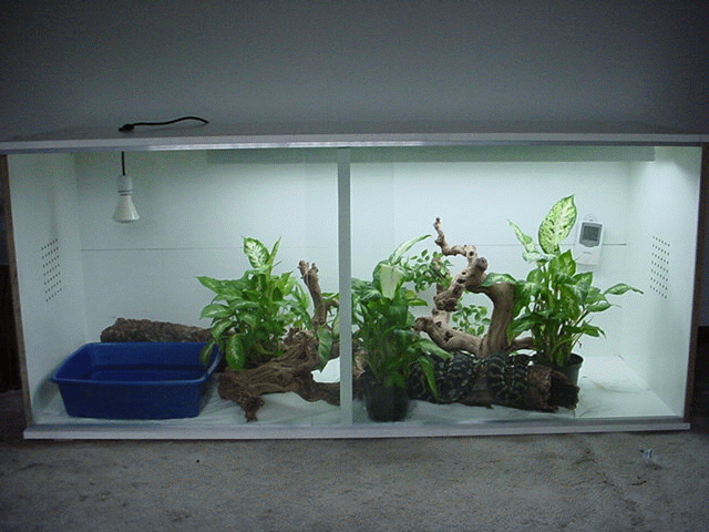 cage1