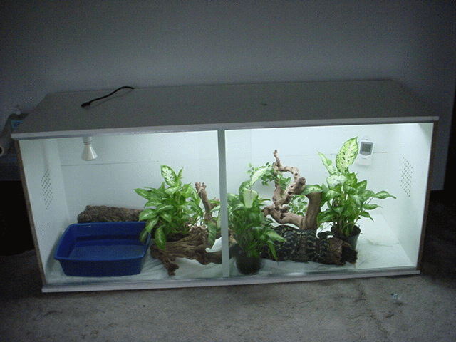 cage3