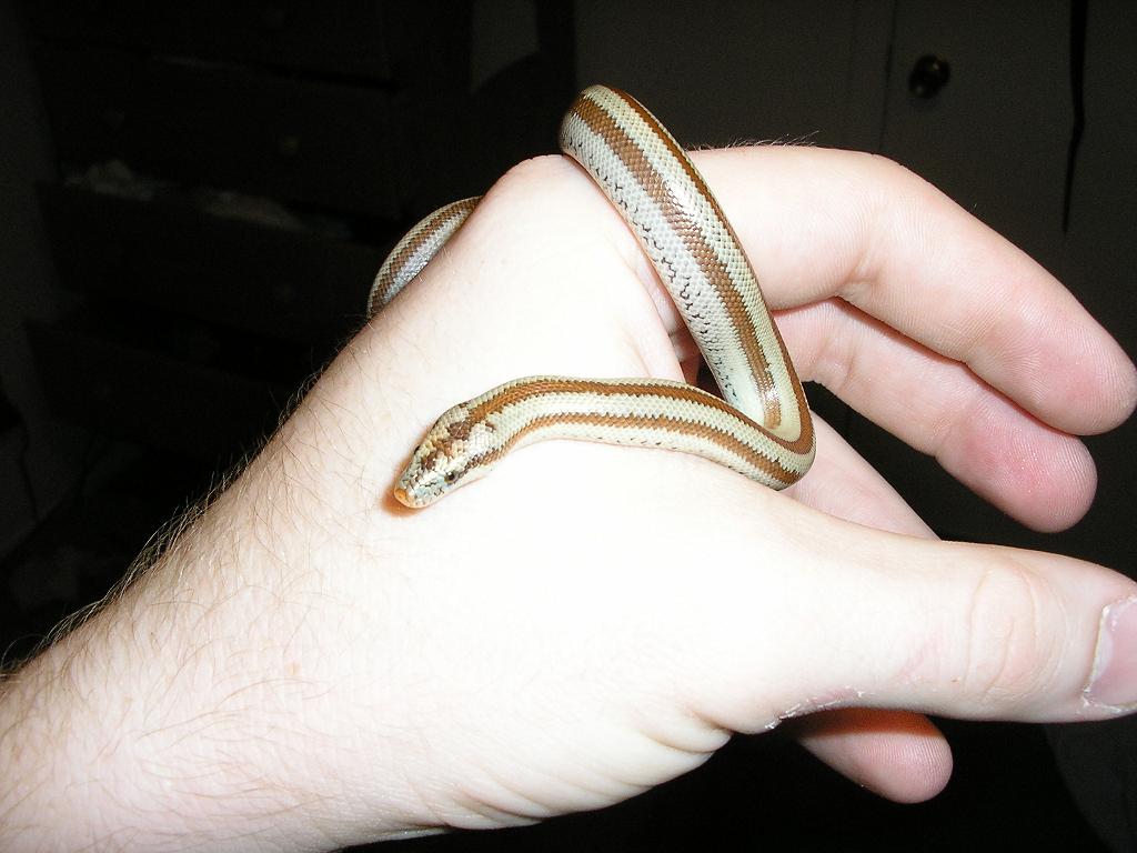 Second baby in hand