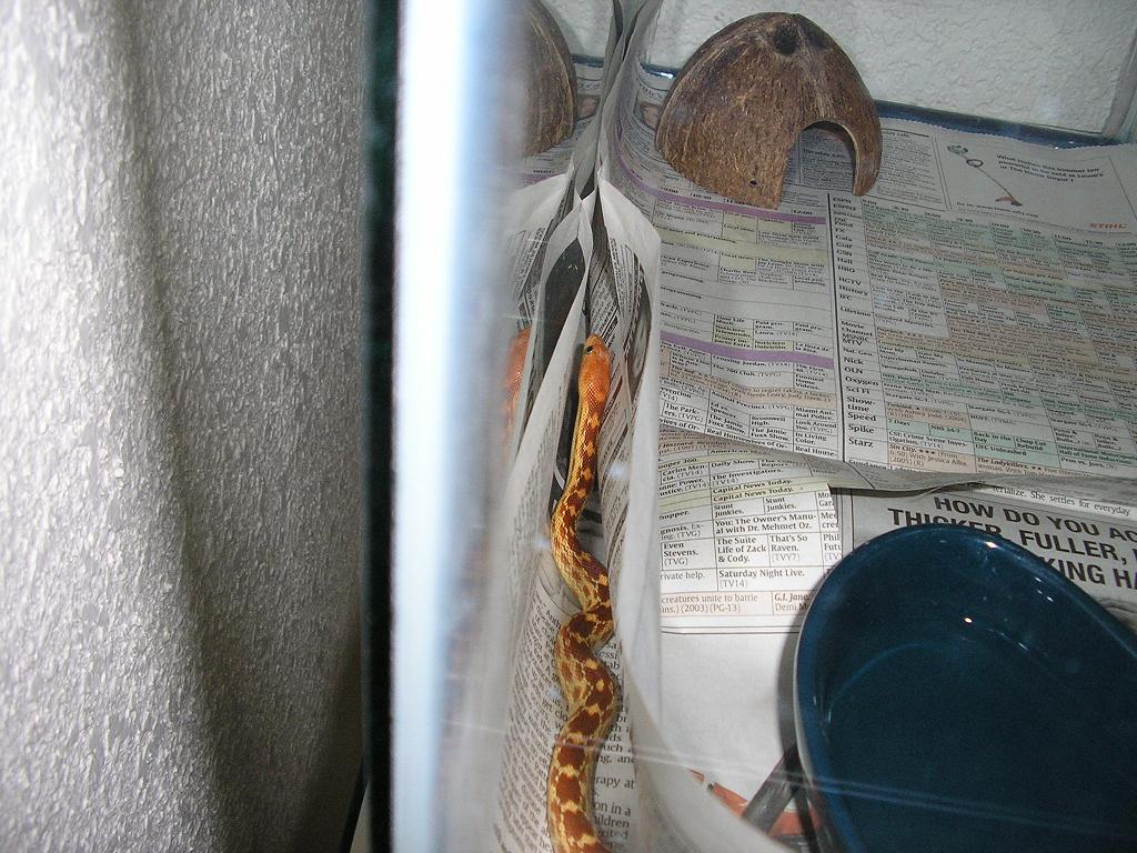 Mole in her tank