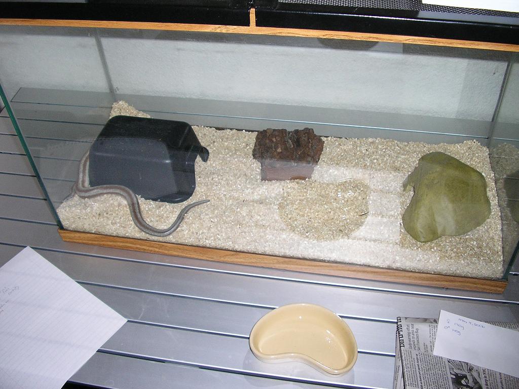 Rivet and his setup