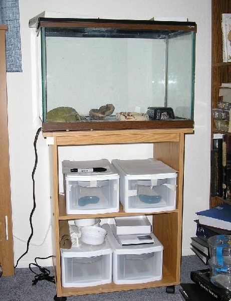 Cart with sterilite and tank