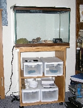 Cart with sterilite and tank