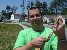Garter Snake
