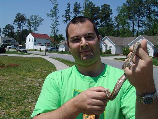 Garter Snake