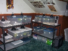 GTP set up