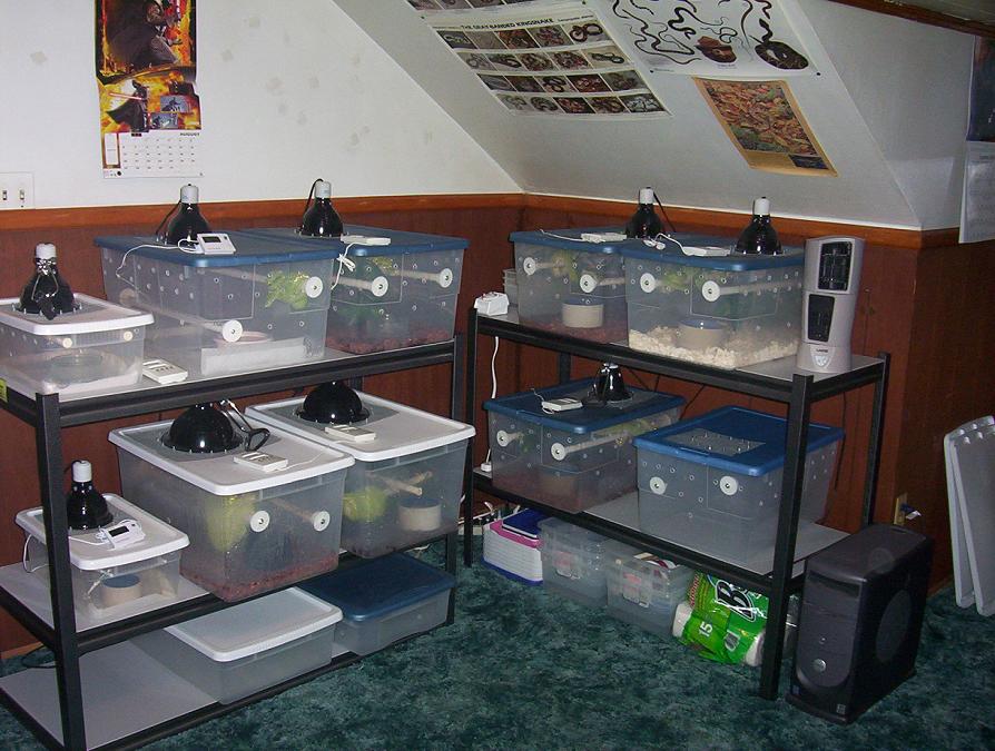 GTP set up