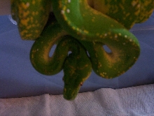 New pics of Ricky B