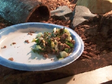 skink2