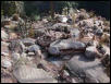 Chuckwalla pen