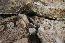 in the rocks