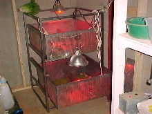 hatchling racks