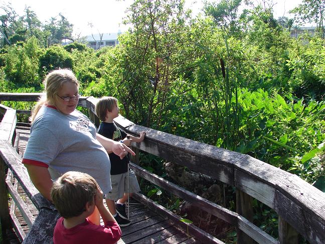 Family herping