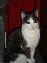 Phillip posing for the camera