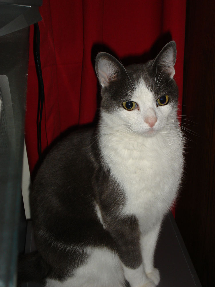 Phillip posing for the camera
