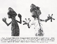 U. ebenaui vs U. malama