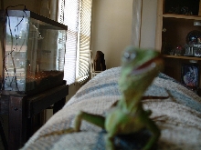 it's coming to get me