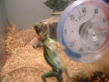 let me out