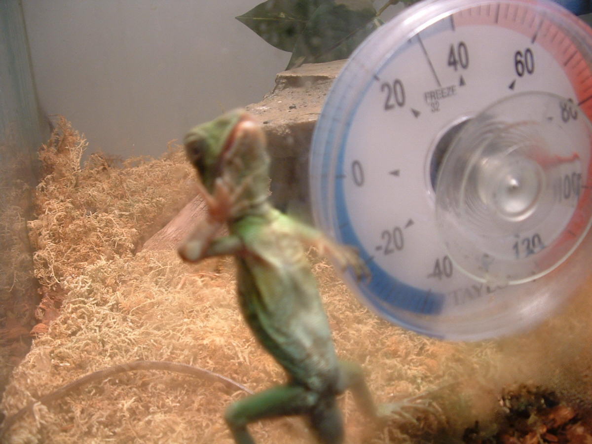 let me out