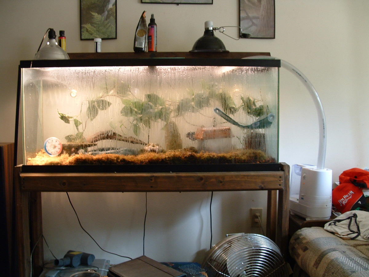tank with humidifier
