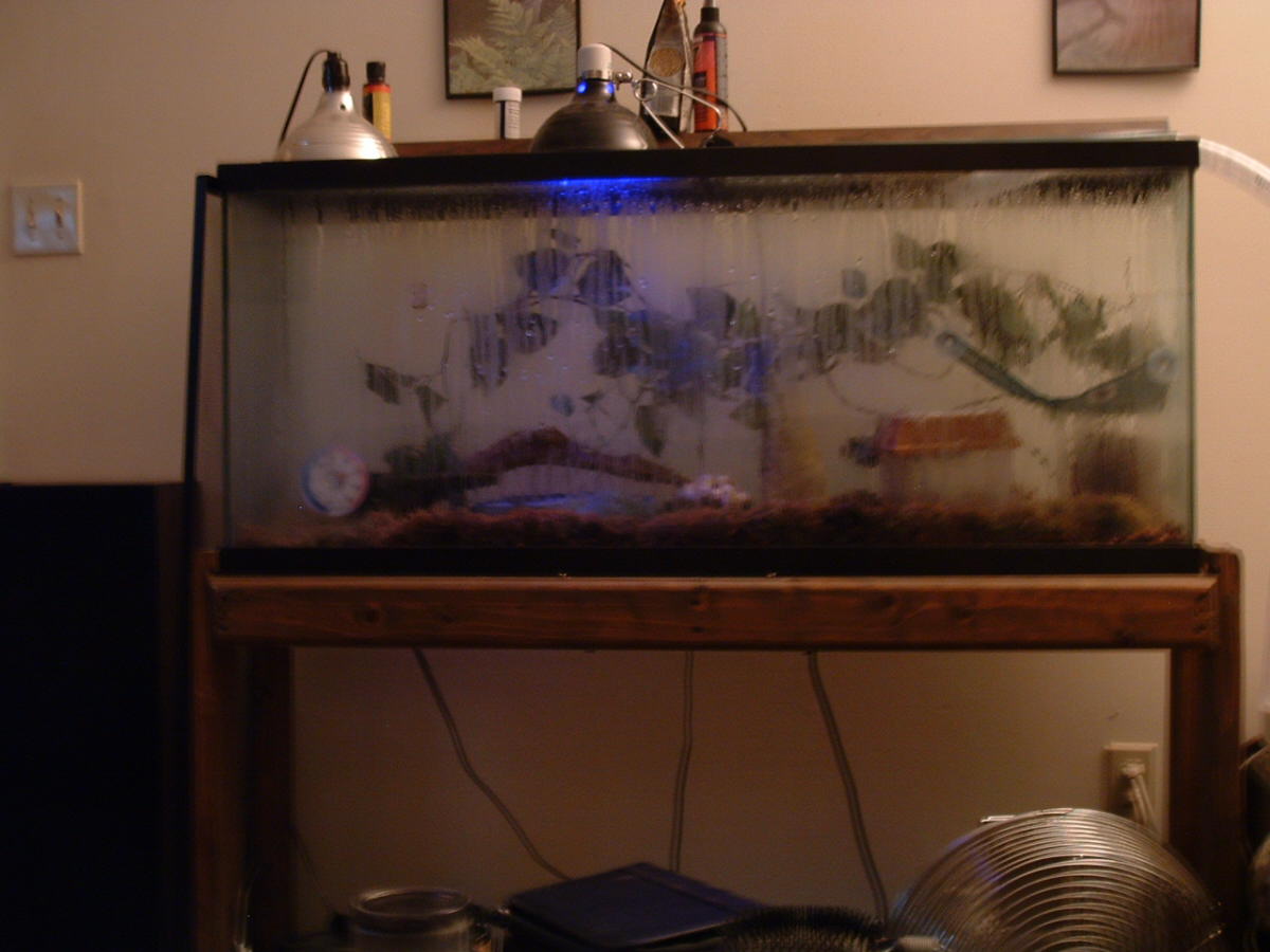 Nighttime tank
