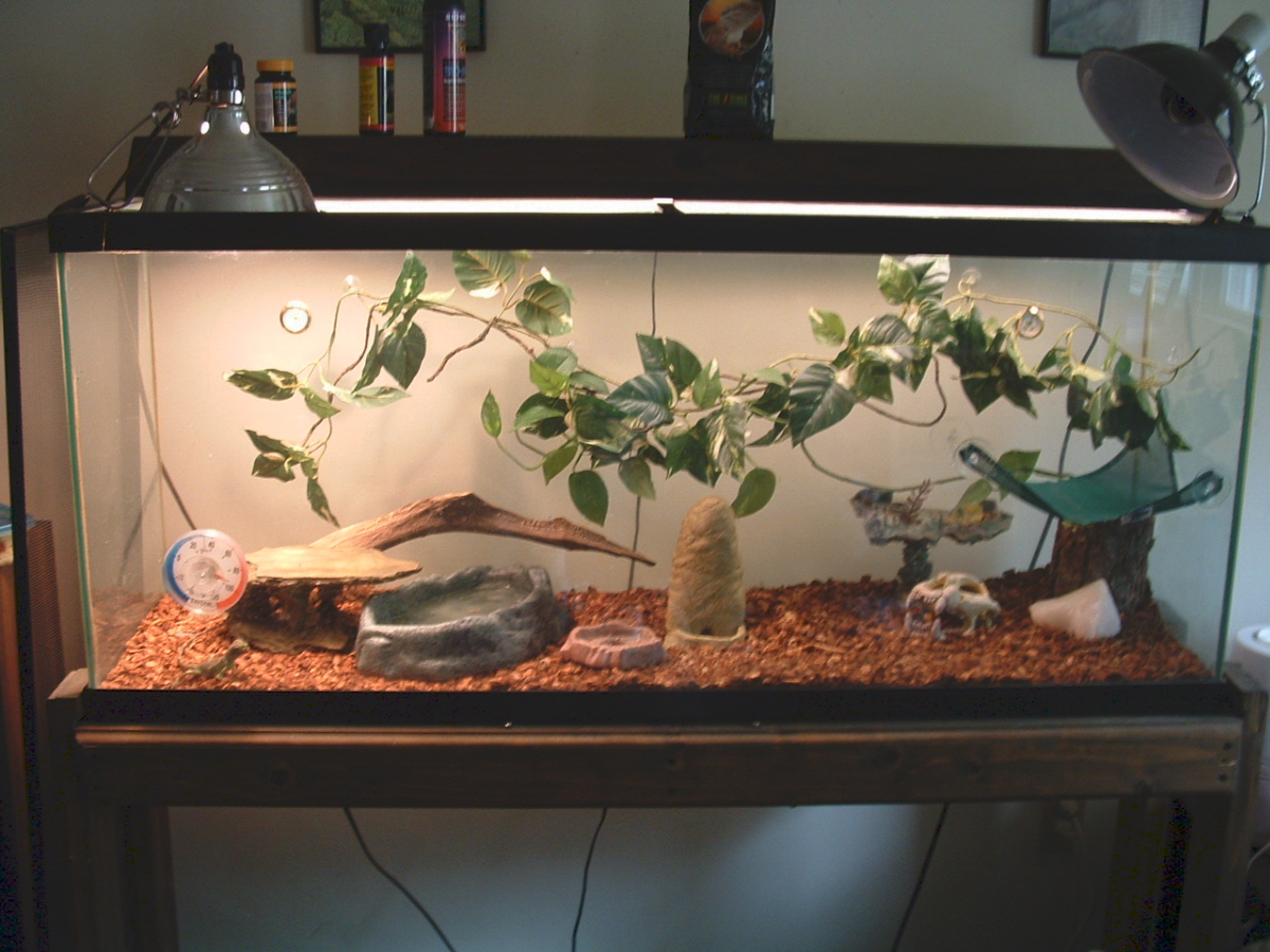 Norbert's home