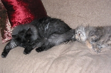 Nap Time